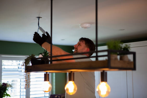Best Electric Panel Repair  in Traer, IA